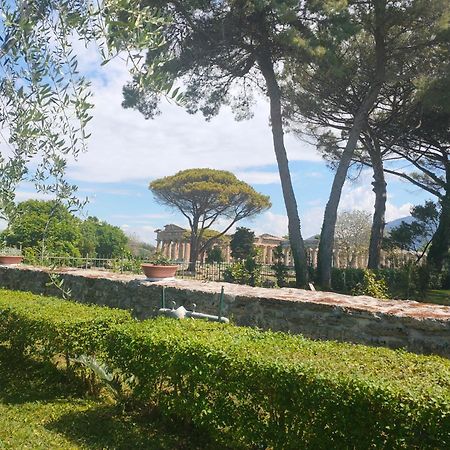 דירות פסטום Il Giardino Di Athena 1 מראה חיצוני תמונה