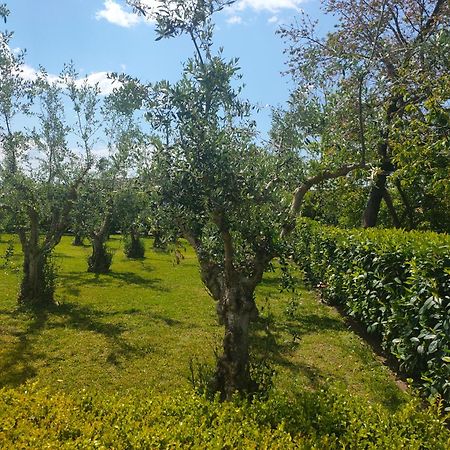 דירות פסטום Il Giardino Di Athena 1 מראה חיצוני תמונה