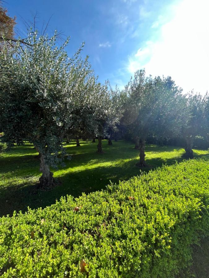 דירות פסטום Il Giardino Di Athena 1 מראה חיצוני תמונה