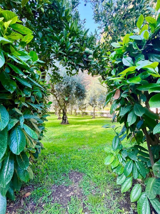 דירות פסטום Il Giardino Di Athena 1 מראה חיצוני תמונה