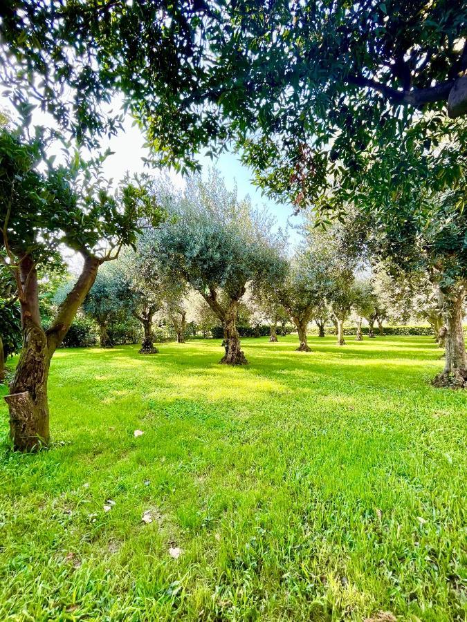 דירות פסטום Il Giardino Di Athena 1 מראה חיצוני תמונה