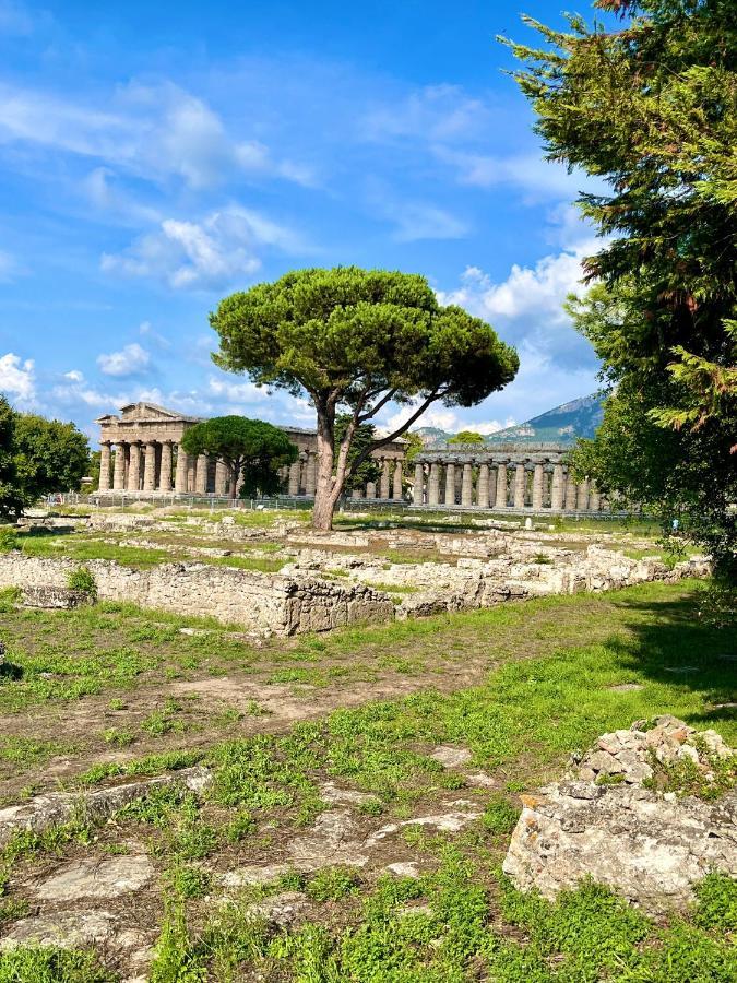 דירות פסטום Il Giardino Di Athena 1 מראה חיצוני תמונה