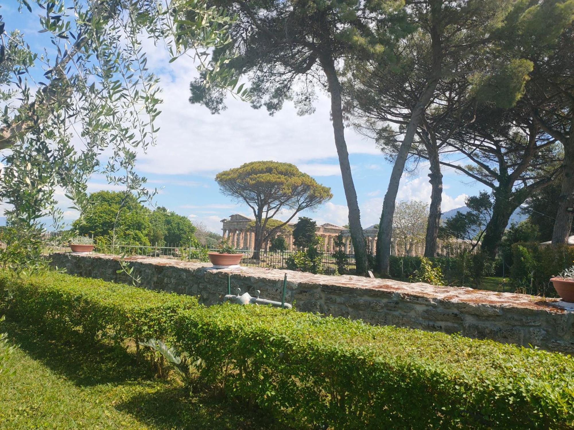 דירות פסטום Il Giardino Di Athena 1 מראה חיצוני תמונה