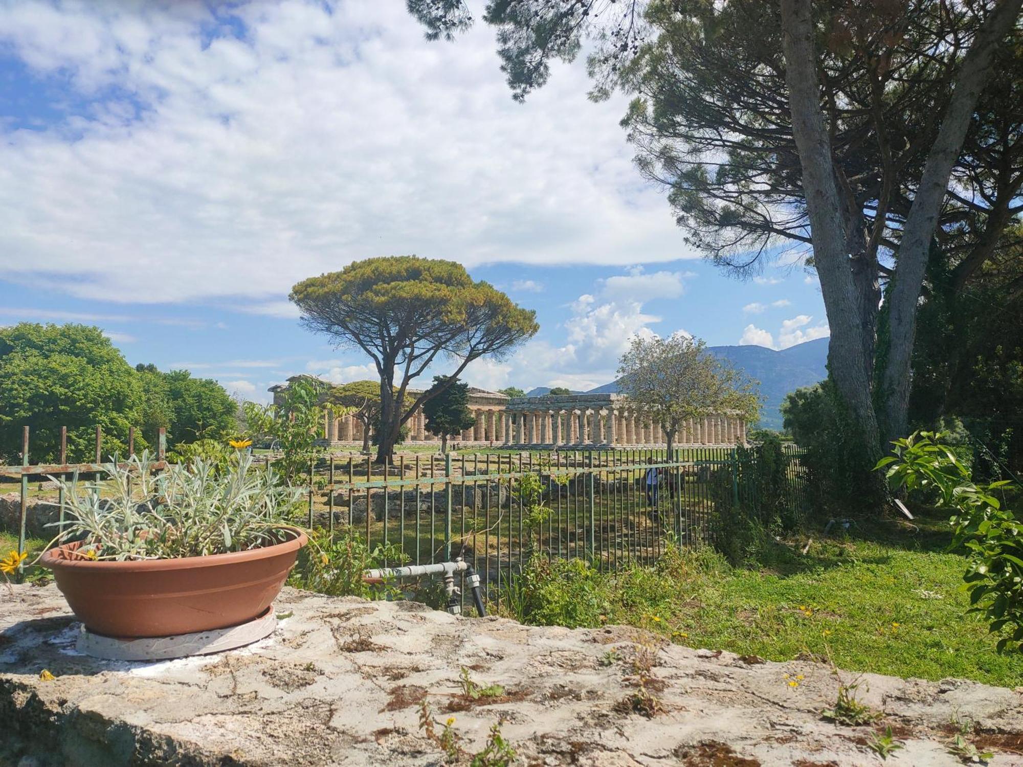 דירות פסטום Il Giardino Di Athena 1 חדר תמונה