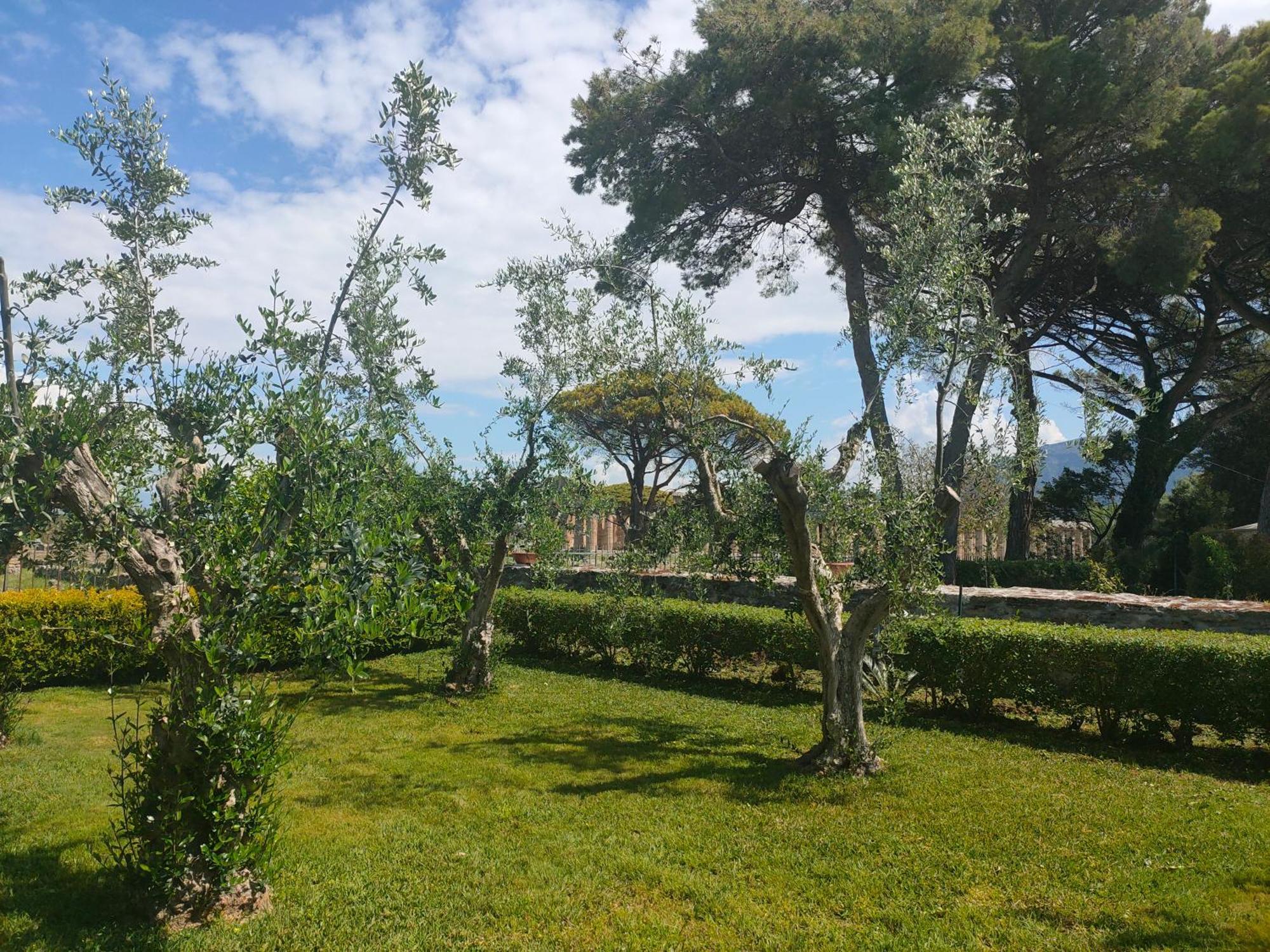 דירות פסטום Il Giardino Di Athena 1 מראה חיצוני תמונה