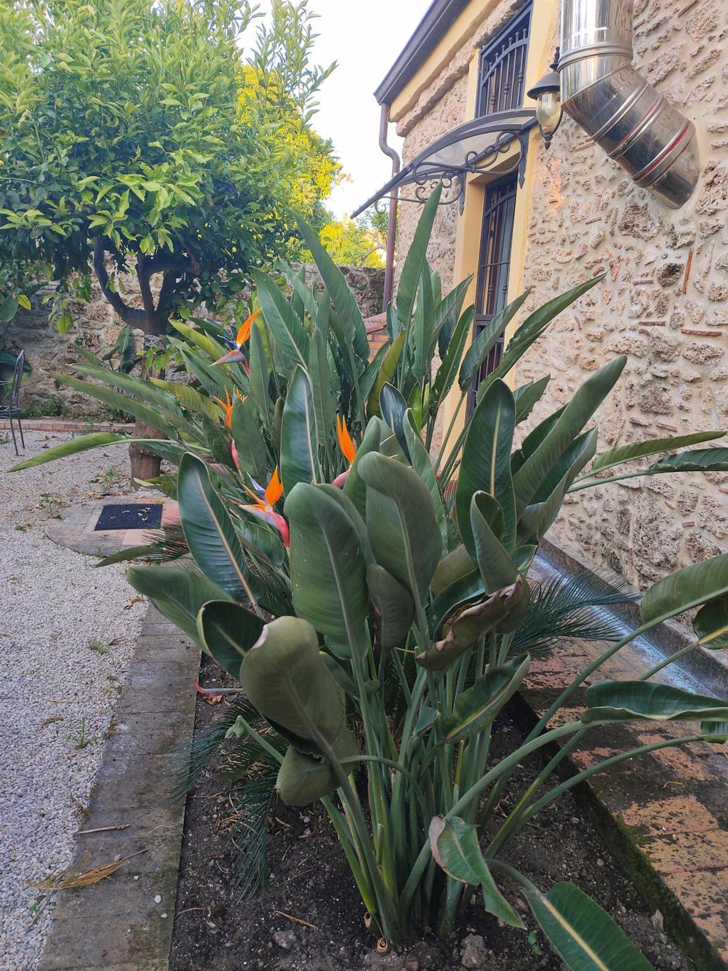 דירות פסטום Il Giardino Di Athena 1 מראה חיצוני תמונה