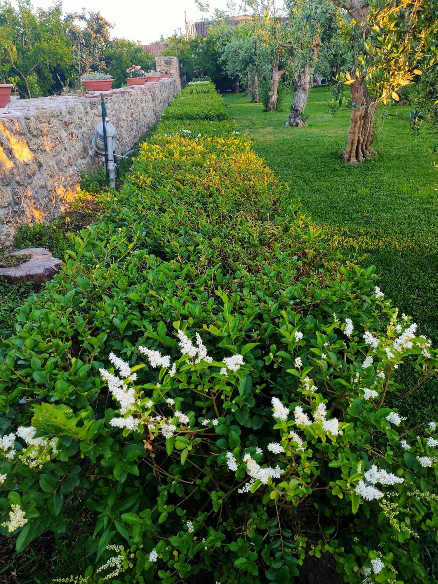 דירות פסטום Il Giardino Di Athena 1 מראה חיצוני תמונה